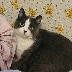 Meet your Posher, Deidre